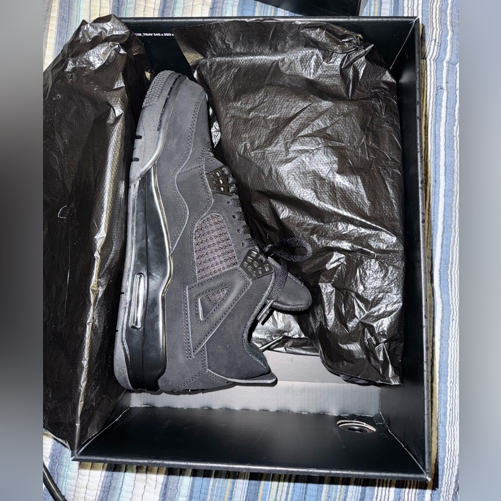 Jordan 4 Black Cat